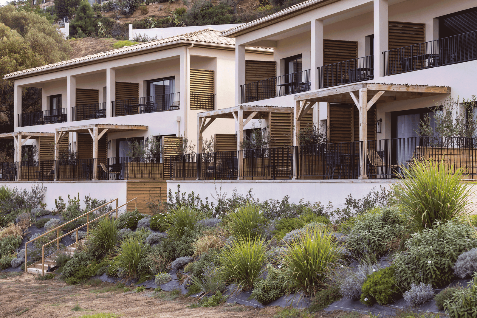 les-terrasses-Residence-Casa-Marina-Cargese